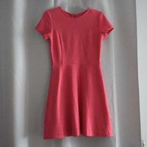 Ann Taylor LOFT Women's Pink Dress